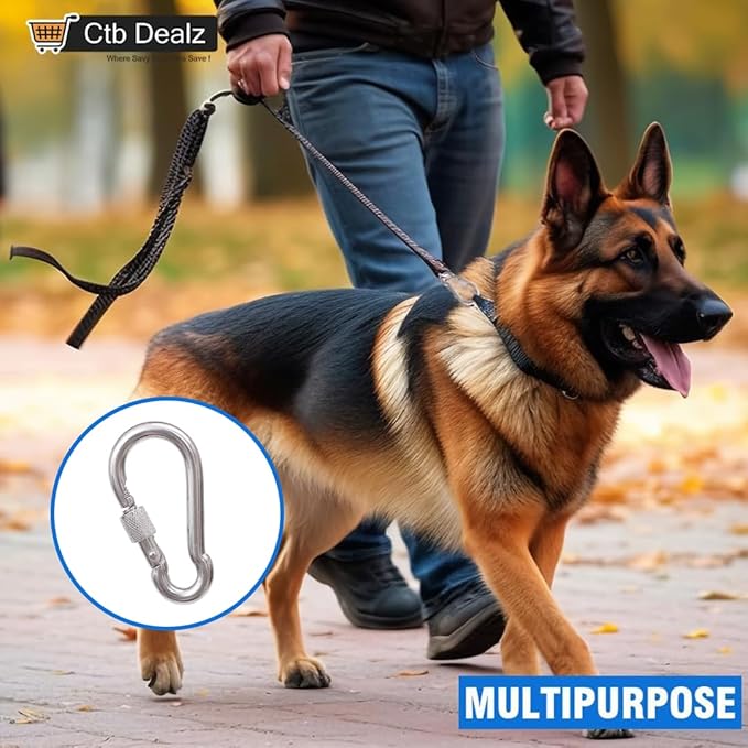 Oval Carabiner Stainless Steel - Small Strong Metal Multitool Carabiner Heavy Duty for Hammocks, Keys, Hanging (6 Pcs)