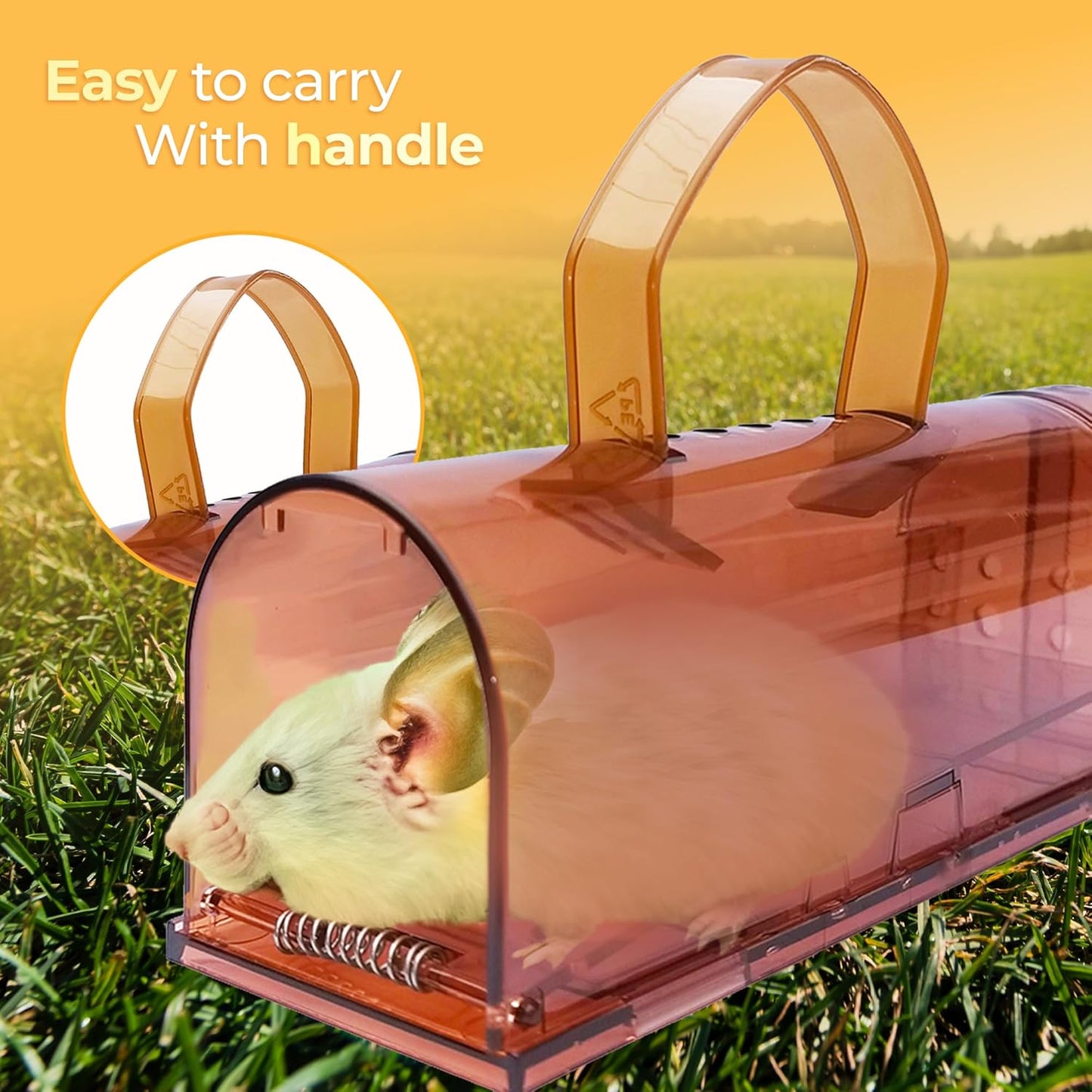 Humane Indoor/Outdoor Mouse Trap