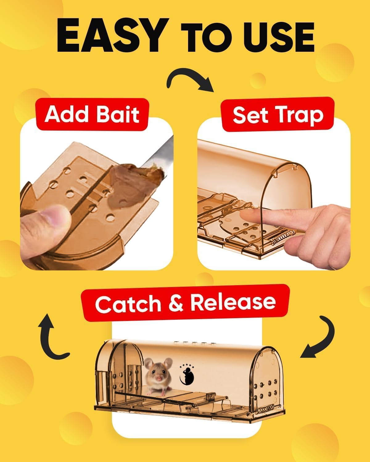 Humane Indoor/Outdoor Mouse Trap