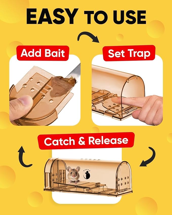 Humane Indoor/Outdoor Mouse Trap