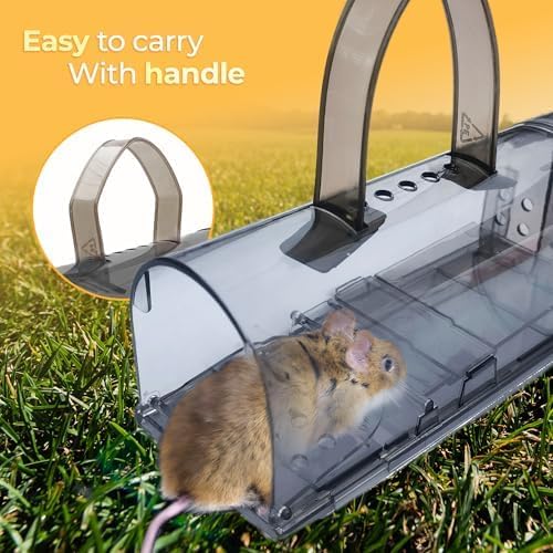 Humane Indoor/Outdoor Mouse Trap