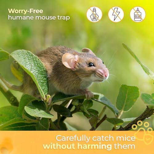 Humane Indoor/Outdoor Mouse Trap