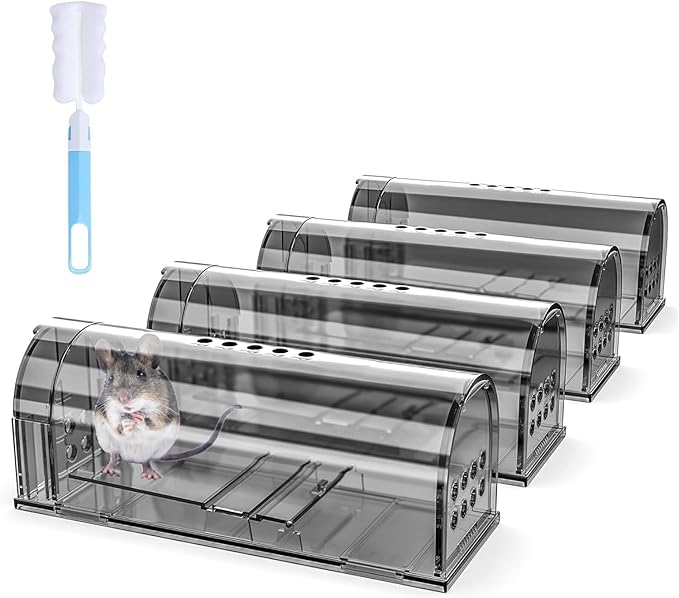 Humane Indoor/Outdoor Mouse Trap