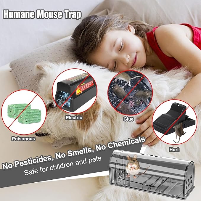 Humane Indoor/Outdoor Mouse Trap