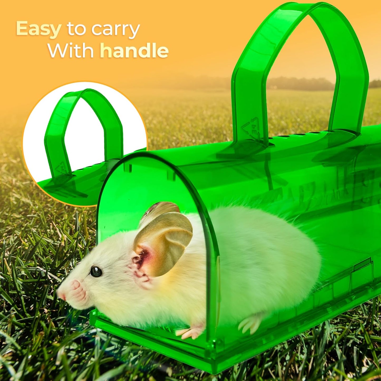 Humane Large Indoor/Outdoor Mouse Trap