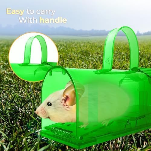 Humane Indoor/Outdoor Mouse Trap