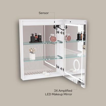 LED Medicine Cabinet with Mirror, Lights, Defogger, Clock & Outlets – Recessed or Surface Mount