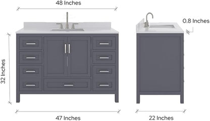 Ayna Decors Rooh 48 Inch Charcoal Grey Bathroom Vanity with Sink, Quartz Countertop, 2 Soft Closing Doors, and 7 Full Extension Drawers, Brushed Nickel Hardware
