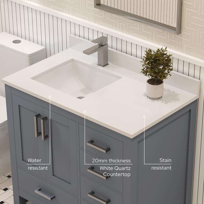 Ayna Decors Rooh 36 Inch Charcoal Grey Bathroom Vanity with Sink, Quartz Countertop, 2 Soft Closing Doors, and 4 Full Extension Drawers, Brushed Nickel Hardware