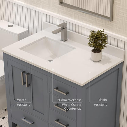 Ayna Decors Rooh 36 Inch Charcoal Grey Bathroom Vanity with Sink, Quartz Countertop, 2 Soft Closing Doors, and 4 Full Extension Drawers, Brushed Nickel Hardware