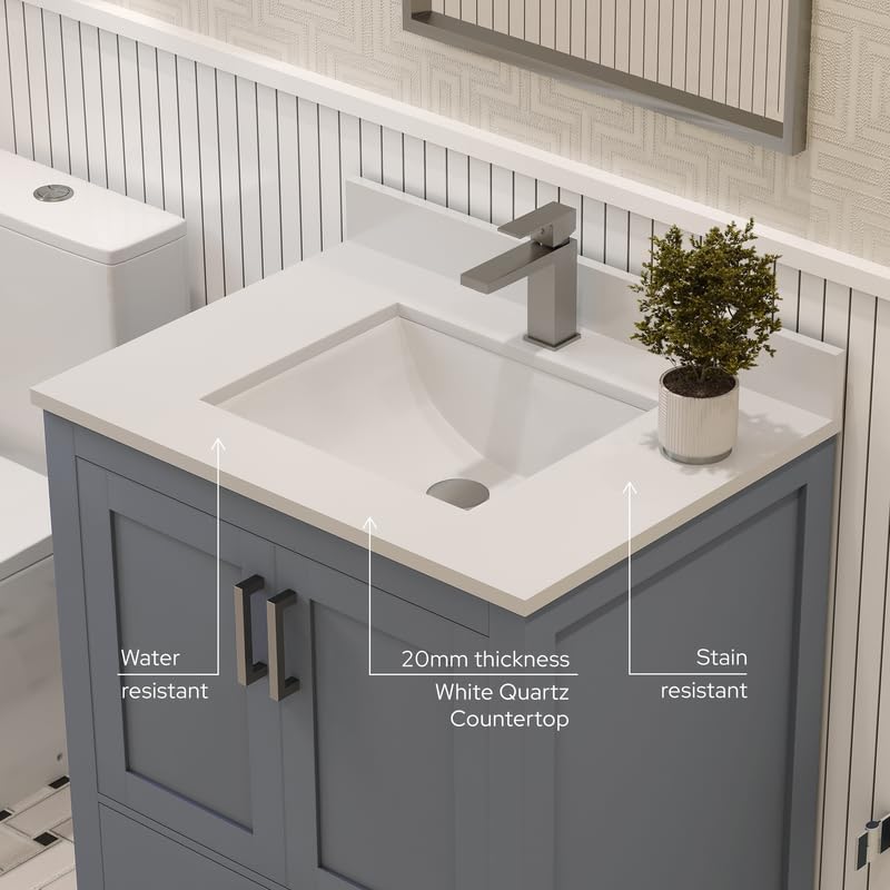 Ayna Decors Rooh 30 Inch Charcoal Grey Bathroom Vanity with Sink, Quartz Countertop, 2 Soft Closing Doors and 1 Full Extension Drawer, Brushed Nickel Hardware