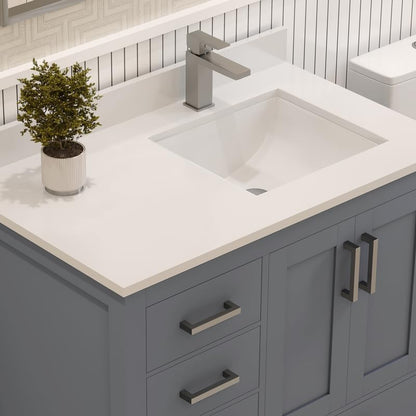 Ayna Decors Rooh 36 Inch Charcoal Grey Bathroom Vanity with Sink, Quartz Countertop, 2 Soft Closing Doors, and 4 Full Extension Drawers, Brushed Nickel Hardware