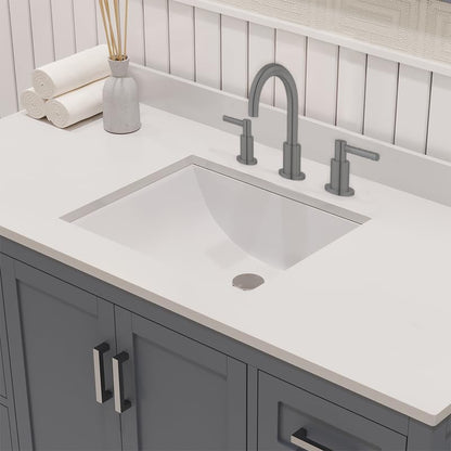 Ayna Decors Rooh 48 Inch Charcoal Grey Bathroom Vanity with Sink, Quartz Countertop, 2 Soft Closing Doors, and 7 Full Extension Drawers, Brushed Nickel Hardware