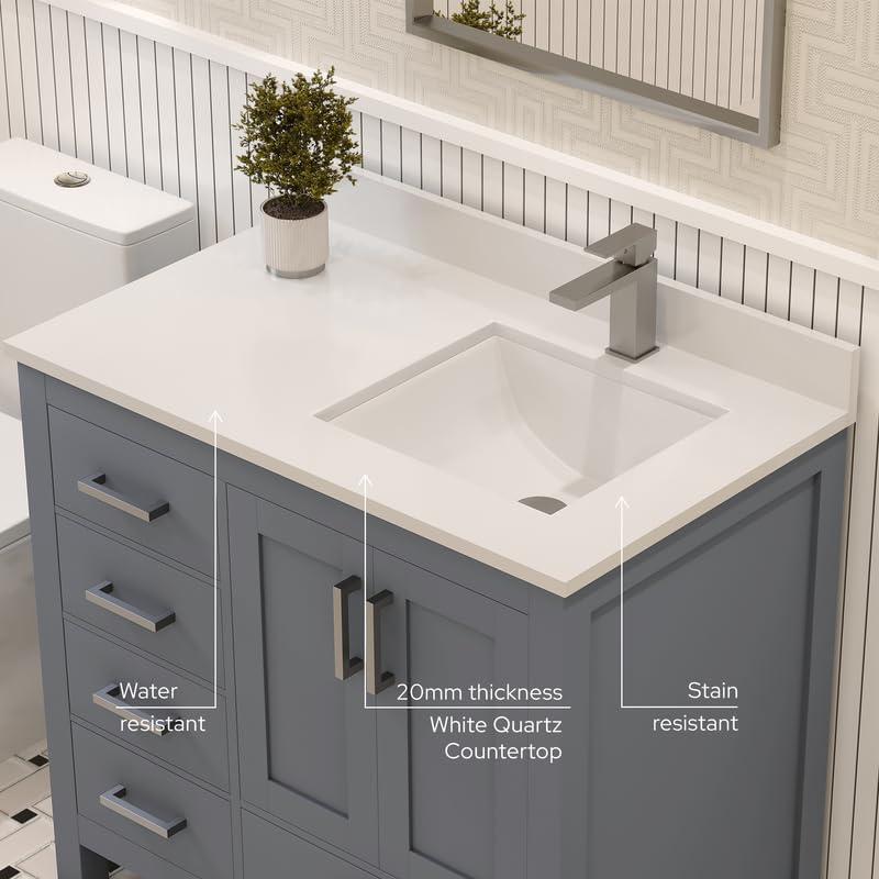 Ayna Decors Rooh 36 Inch Charcoal Grey Bathroom Vanity with Sink, Quartz Countertop, 2 Soft Closing Doors, and 4 Full Extension Drawers, Brushed Nickel Hardware