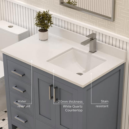 Ayna Decors Rooh 36 Inch Charcoal Grey Bathroom Vanity with Sink, Quartz Countertop, 2 Soft Closing Doors, and 4 Full Extension Drawers, Brushed Nickel Hardware
