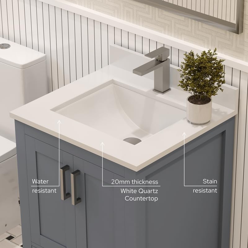 Ayna Decors Rooh 24 Inch Charcoal Grey Bathroom Vanity with Sink, Quartz Countertop, 2 Soft Closing Doors and 1 Full Extension Drawer, Brushed Nickel Hardware