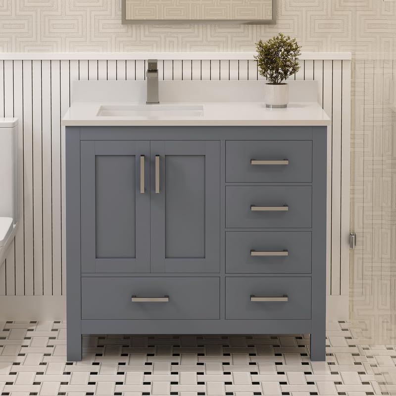 Ayna Decors Rooh 36 Inch Charcoal Grey Bathroom Vanity with Sink, Quartz Countertop, 2 Soft Closing Doors, and 4 Full Extension Drawers, Brushed Nickel Hardware