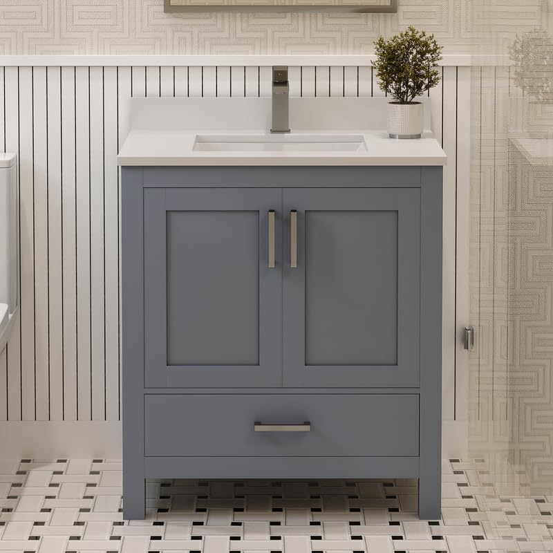 Ayna Decors Rooh 30 Inch Charcoal Grey Bathroom Vanity with Sink, Quartz Countertop, 2 Soft Closing Doors and 1 Full Extension Drawer, Brushed Nickel Hardware