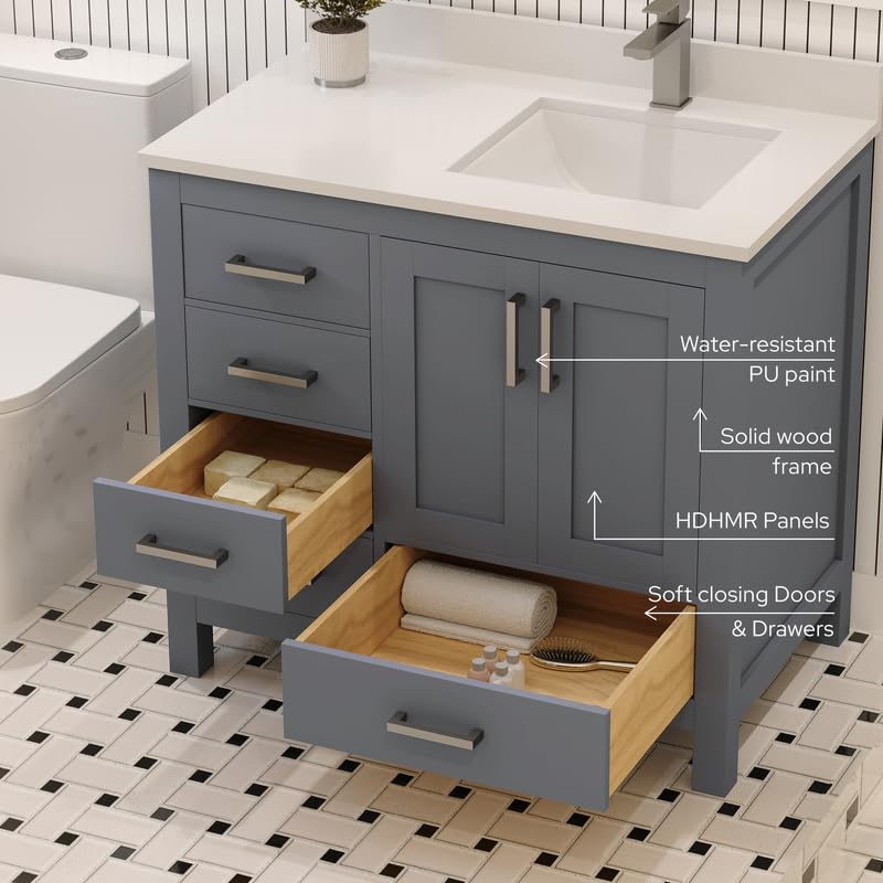 Ayna Decors Rooh 36 Inch Charcoal Grey Bathroom Vanity with Sink, Quartz Countertop, 2 Soft Closing Doors, and 4 Full Extension Drawers, Brushed Nickel Hardware