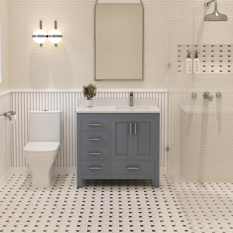 Ayna Decors Rooh 36 Inch Charcoal Grey Bathroom Vanity with Sink, Quartz Countertop, 2 Soft Closing Doors, and 4 Full Extension Drawers, Brushed Nickel Hardware