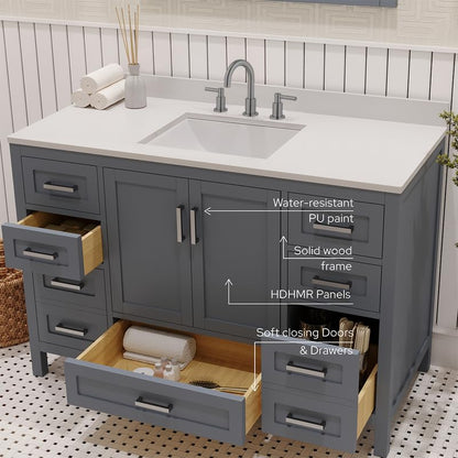 Ayna Decors Rooh 48 Inch Charcoal Grey Bathroom Vanity with Sink, Quartz Countertop, 2 Soft Closing Doors, and 7 Full Extension Drawers, Brushed Nickel Hardware