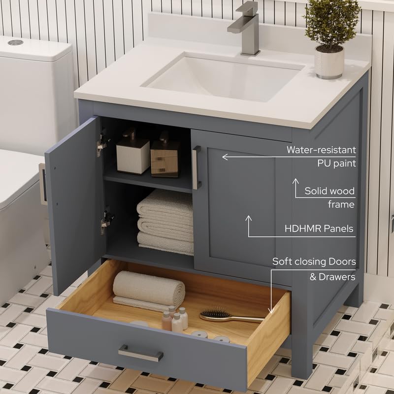 Ayna Decors Rooh 30 Inch Charcoal Grey Bathroom Vanity with Sink, Quartz Countertop, 2 Soft Closing Doors and 1 Full Extension Drawer, Brushed Nickel Hardware