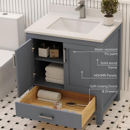 Ayna Decors Rooh 30 Inch Charcoal Grey Bathroom Vanity with Sink, Quartz Countertop, 2 Soft Closing Doors and 1 Full Extension Drawer, Brushed Nickel Hardware