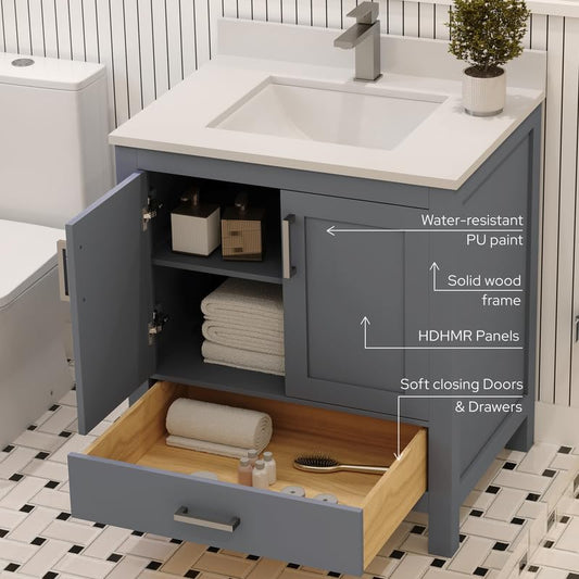 Ayna Decors Rooh 30 Inch Charcoal Grey Bathroom Vanity with Sink, Quartz Countertop, 2 Soft Closing Doors and 1 Full Extension Drawer, Brushed Nickel Hardware