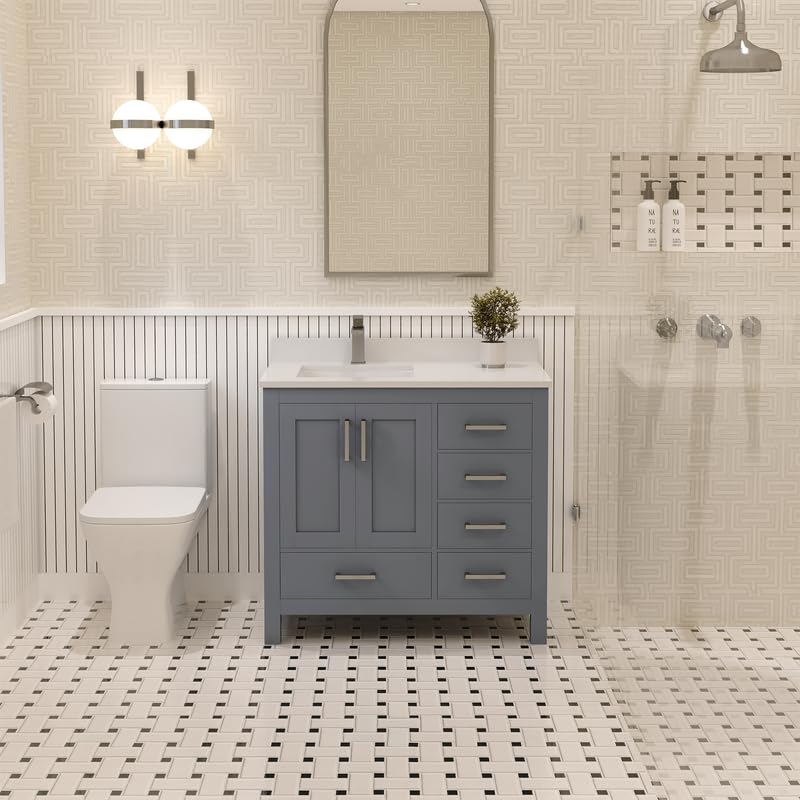 Ayna Decors Rooh 36 Inch Charcoal Grey Bathroom Vanity with Sink, Quartz Countertop, 2 Soft Closing Doors, and 4 Full Extension Drawers, Brushed Nickel Hardware