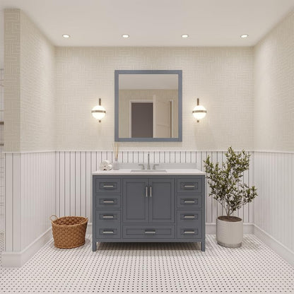 Ayna Decors Rooh 48 Inch Charcoal Grey Bathroom Vanity with Sink, Quartz Countertop, 2 Soft Closing Doors, and 7 Full Extension Drawers, Brushed Nickel Hardware