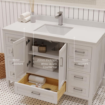 Ayna Decors Rooh 48 Inch White Bathroom Vanity with Sink, Quartz Countertop, 2 Soft Closing Doors, and 7 Full Extension Drawers, Brushed Nickel Hardware