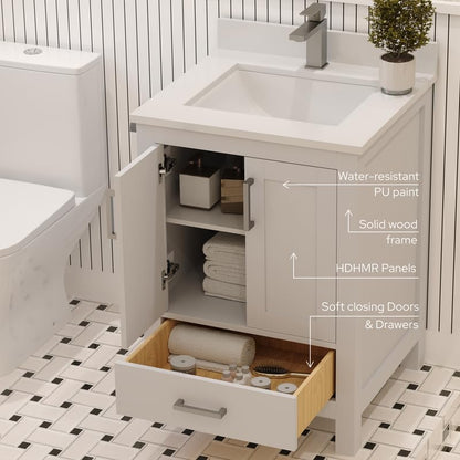 Ayna Decors Rooh 24 Inch White Bathroom Vanity with Sink, Quartz Countertop, 2 Soft Closing Doors and 1 Full Extension Drawer, Brushed Nickel Hardware