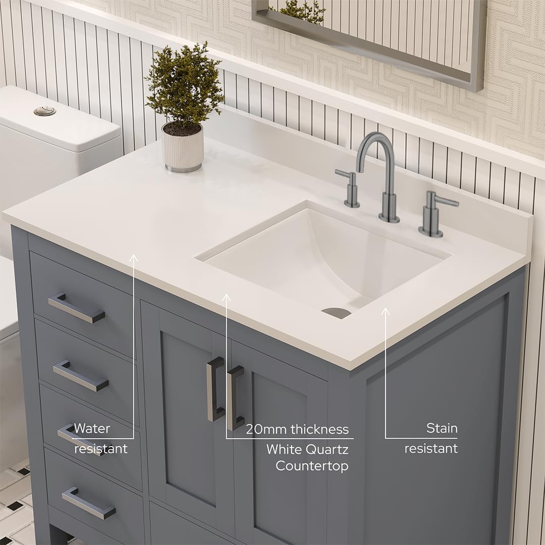 Ayna Decors Rooh 36 Inch Charcoal Grey Bathroom Vanity with Sink, Three Faucet Holes Quartz Top, 2 Soft Closing Doors, and 4 Full Extension Drawers, Brushed Nickel Hardware