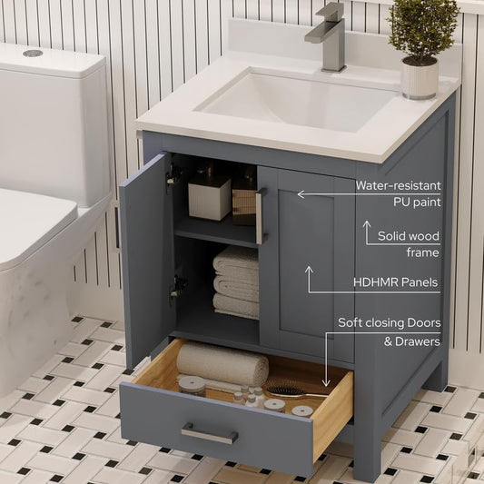 Ayna Decors Rooh 24 Inch Charcoal Grey Bathroom Vanity with Sink, Quartz Countertop, 2 Soft Closing Doors and 1 Full Extension Drawer, Brushed Nickel Hardware